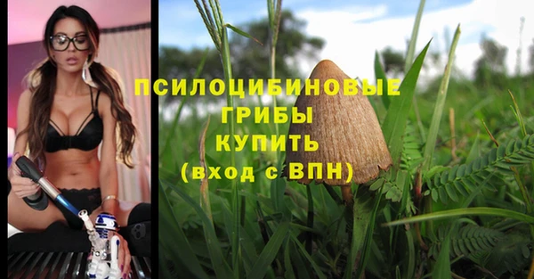 прущая мука Богородск