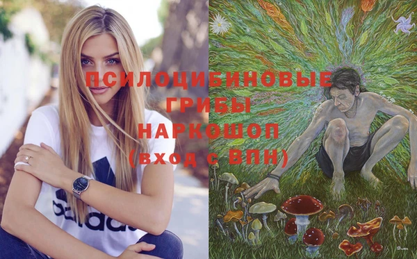 синтетический гашиш Бородино