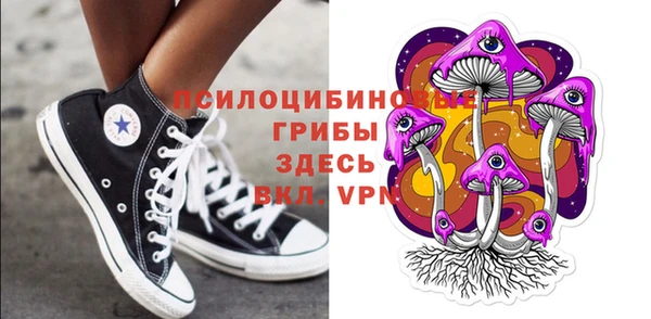 прущая мука Богородск