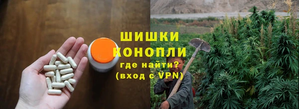 ешки Богородицк