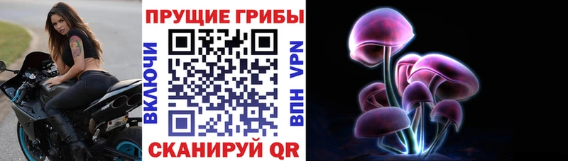 Галлюциногенные грибы Magic Shrooms  Купить где  Магадан 